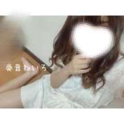 ヒメ日記 2025/05/29 10:51 投稿 奏音 ねいろ Canx2京都店