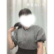 ヒメ日記 2025/06/05 13:17 投稿 奏音 ねいろ Canx2京都店