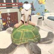 ヒメ日記 2025/07/01 12:37 投稿 奏音 ねいろ Canx2京都店