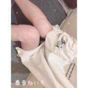 ヒメ日記 2025/11/08 10:27 投稿 奏音 ねいろ Canx2京都店