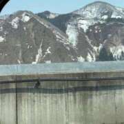 ヒメ日記 2025/03/29 21:30 投稿 まゆ チェリー