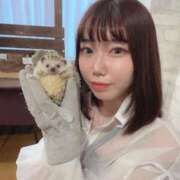 ヒメ日記 2025/05/15 22:20 投稿 みつば マリアージュ熊谷