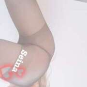 ヒメ日記 2025/01/07 06:46 投稿 せいな 京都の痴女鉄道