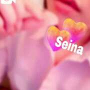 ヒメ日記 2025/03/06 18:26 投稿 せいな 京都の痴女鉄道