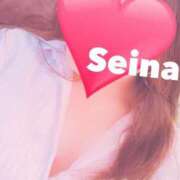 ヒメ日記 2025/03/12 09:16 投稿 せいな 京都の痴女鉄道