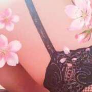 ヒメ日記 2025/03/20 11:56 投稿 せいな 京都の痴女鉄道