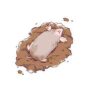 ヒメ日記 2025/06/03 14:46 投稿 せいな 京都の痴女鉄道