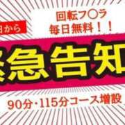 ヒメ日記 2025/06/17 11:46 投稿 せいな 京都の痴女鉄道
