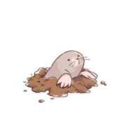 ヒメ日記 2025/06/20 14:26 投稿 せいな 京都の痴女鉄道