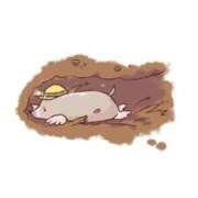 ヒメ日記 2025/08/31 14:26 投稿 せいな 京都の痴女鉄道