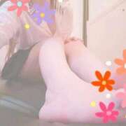 ヒメ日記 2026/06/09 06:56 投稿 せいな 京都の痴女鉄道