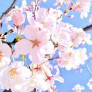 ヒメ日記 2025/04/11 08:03 投稿 ゆきな LOVE KISS（ラブキッス）