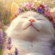 ヒメ日記 2025/06/30 21:46 投稿 ゆきな LOVE KISS（ラブキッス）