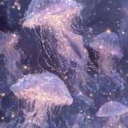 ヒメ日記 2025/07/12 09:44 投稿 ゆきな LOVE KISS（ラブキッス）