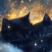 ヒメ日記 2025/07/27 15:39 投稿 ゆきな LOVE KISS（ラブキッス）