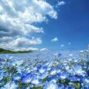 ヒメ日記 2025/08/06 18:20 投稿 ゆきな LOVE KISS（ラブキッス）