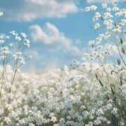 ヒメ日記 2025/08/12 08:19 投稿 ゆきな LOVE KISS（ラブキッス）