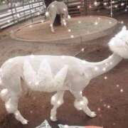 ヒメ日記 2025/09/23 08:37 投稿 ゆきな LOVE KISS（ラブキッス）