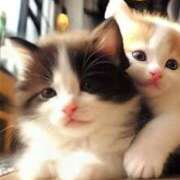 ヒメ日記 2025/11/24 15:05 投稿 ゆきな LOVE KISS（ラブキッス）