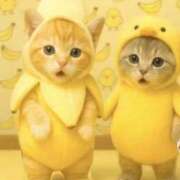 ヒメ日記 2026/01/26 10:57 投稿 ゆきな LOVE KISS（ラブキッス）