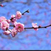 ヒメ日記 2026/03/30 08:19 投稿 ゆきな LOVE KISS（ラブキッス）