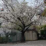 まい 明後日も！ 川崎人妻城