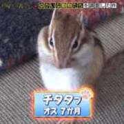 ヒメ日記 2025/05/28 14:52 投稿 えり あふたーすくーる本店
