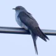 ヒメ日記 2025/05/29 15:25 投稿 えり あふたーすくーる本店