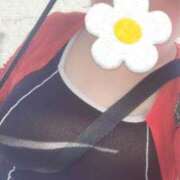 ヒメ日記 2025/06/22 02:33 投稿 はるな ぽっちゃり巨乳専門木更津君津ちゃんこin千葉