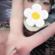 ヒメ日記 2025/12/24 18:11 投稿 はるな ぽっちゃり巨乳専門木更津君津ちゃんこin千葉