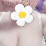 ヒメ日記 2026/01/03 19:12 投稿 はるな ぽっちゃり巨乳専門木更津君津ちゃんこin千葉