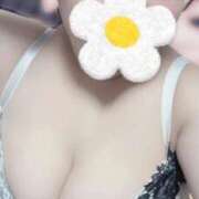 ヒメ日記 2026/04/14 19:16 投稿 はるな ぽっちゃり巨乳専門木更津君津ちゃんこin千葉