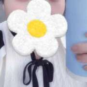 ヒメ日記 2026/05/20 10:49 投稿 はるな ぽっちゃり巨乳専門木更津君津ちゃんこin千葉