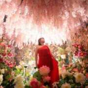 ヒメ日記 2024/12/12 15:47 投稿 あやね 淫乱痴女エステ