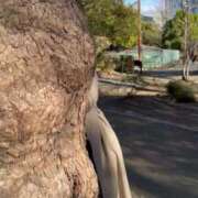 ヒメ日記 2024/12/13 12:02 投稿 あやね 淫乱痴女エステ