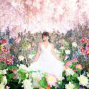 ヒメ日記 2025/01/20 07:17 投稿 あやね 淫乱痴女エステ