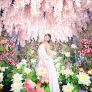 ヒメ日記 2025/04/04 12:00 投稿 あやね 淫乱痴女エステ