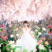 ヒメ日記 2025/05/27 11:51 投稿 あやね 淫乱痴女エステ