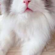 ヒメ日記 2025/09/22 08:42 投稿 西村まどか ソープランド蜜 人妻・美熟女専門店