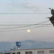 ことこ がんばります！ ナチュラルミセス