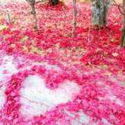 ヒメ日記 2025/11/11 23:55 投稿 有沙（ありさ） 熟女の風俗最終章 大宮店