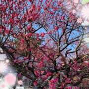 ヒメ日記 2025/01/12 14:27 投稿 とわこ 松本人妻隊