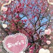 ヒメ日記 2025/02/01 14:40 投稿 とわこ 松本人妻隊