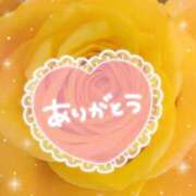 ヒメ日記 2025/05/27 01:45 投稿 とわこ 松本人妻隊