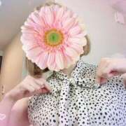 ヒメ日記 2025/07/31 06:53 投稿 とわこ 松本人妻隊