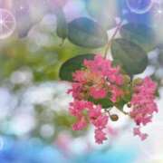 ヒメ日記 2025/09/08 22:49 投稿 とわこ 松本人妻隊