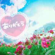 ヒメ日記 2025/09/11 06:20 投稿 とわこ 松本人妻隊
