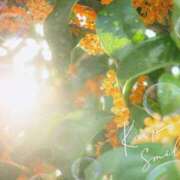 ヒメ日記 2025/10/13 23:35 投稿 とわこ 松本人妻隊