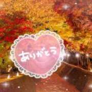 ヒメ日記 2025/11/06 23:34 投稿 とわこ 松本人妻隊