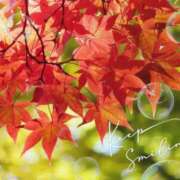 ヒメ日記 2025/11/21 14:19 投稿 とわこ 松本人妻隊